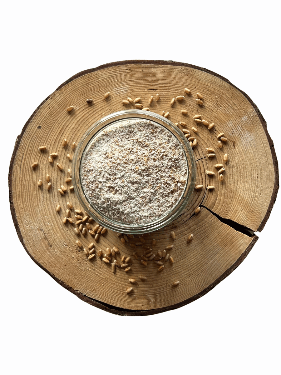 Mouka pšeničná celozrnná ze zlatokvěté pšenice BIO – čerstvě mletá