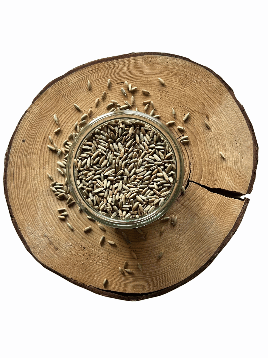 Žito BIO – z rakouské biofarmy