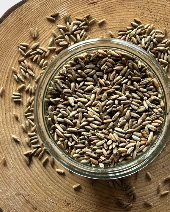 Žito svatojánské BIO – z rakouské biofarmy