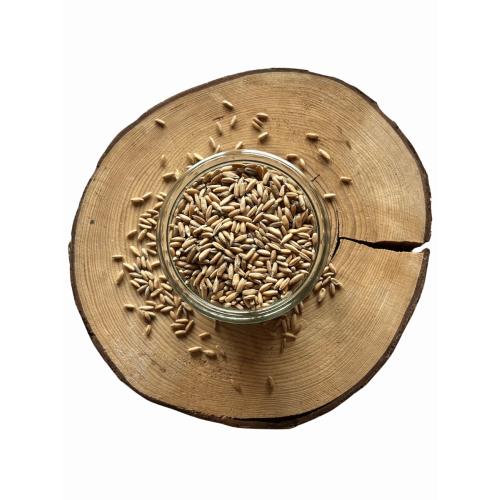 Žito světlé BIO – z rakouské biofarmy