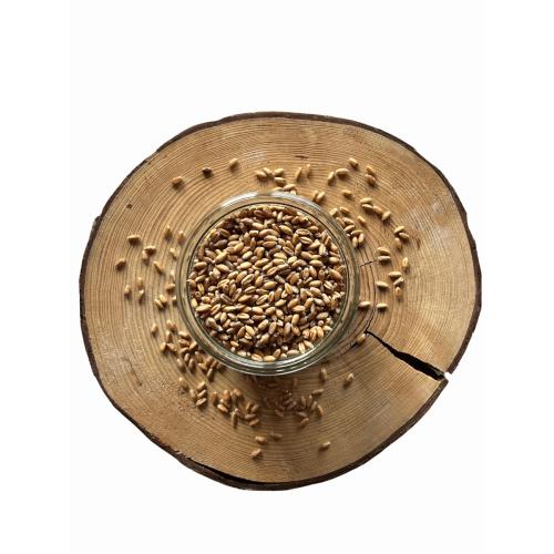 Pšenice zlatokvětá BIO – z rakouské biofarmy