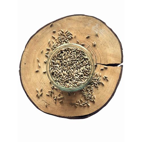 Žito BIO - z Moravy